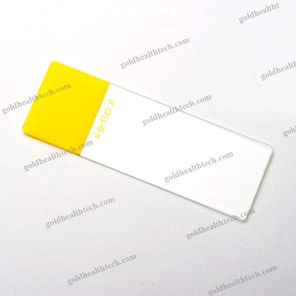 Microscope Slide