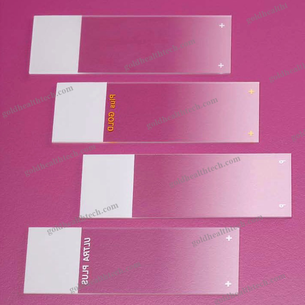 Microscope Slide