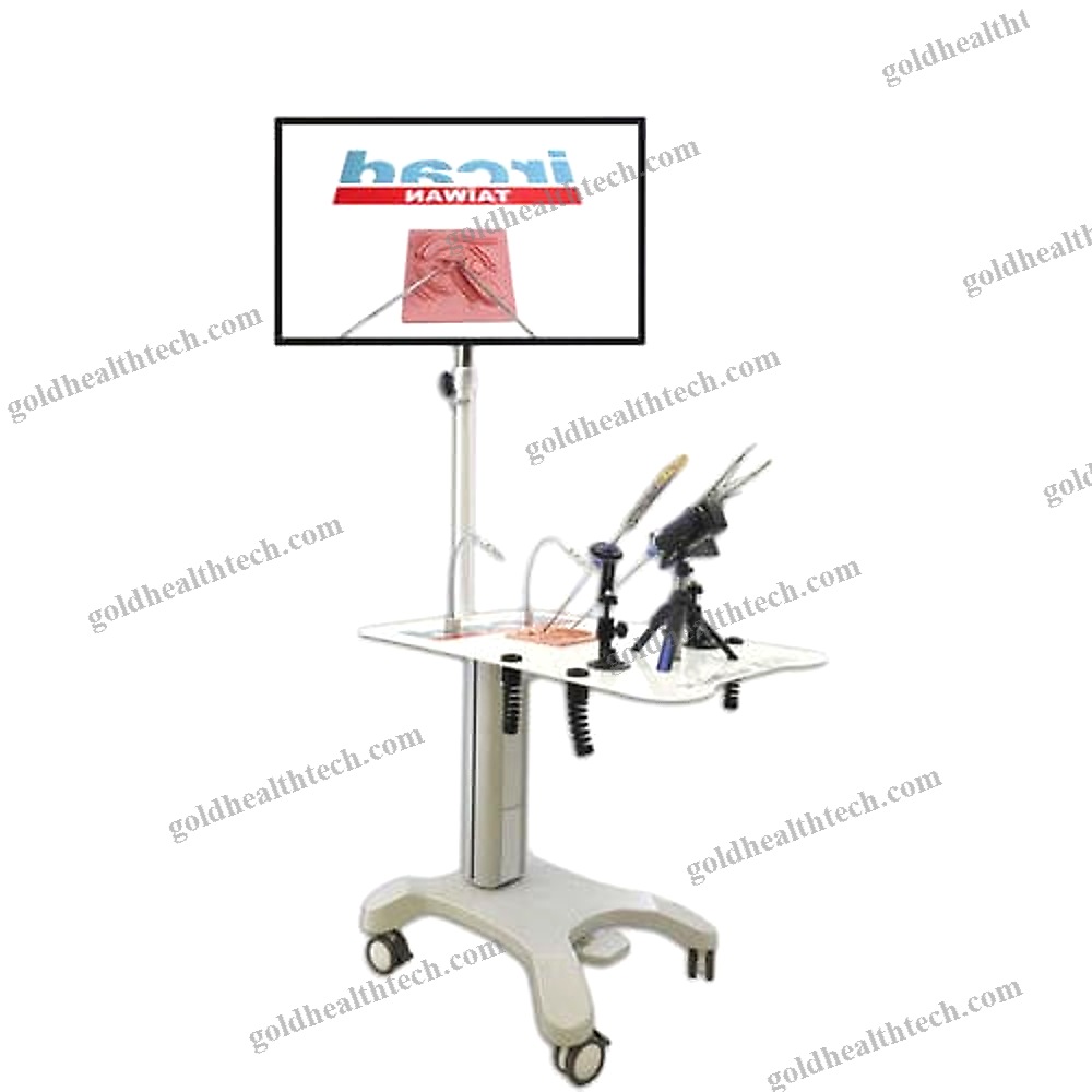 Mini-Invasive Surgery Simulator
