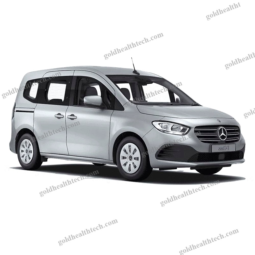 Minivan Wheelchair Accessible Vehicle