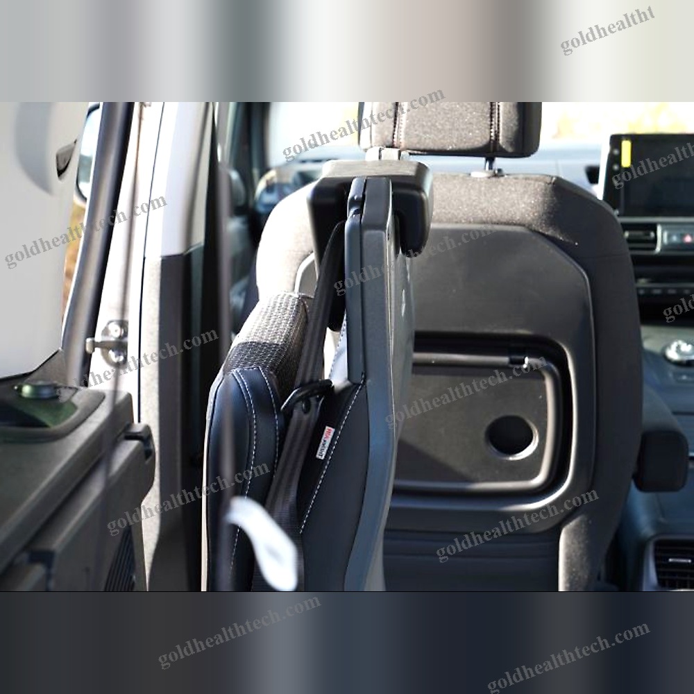 Minivan Wheelchair Accessible Vehicle 1