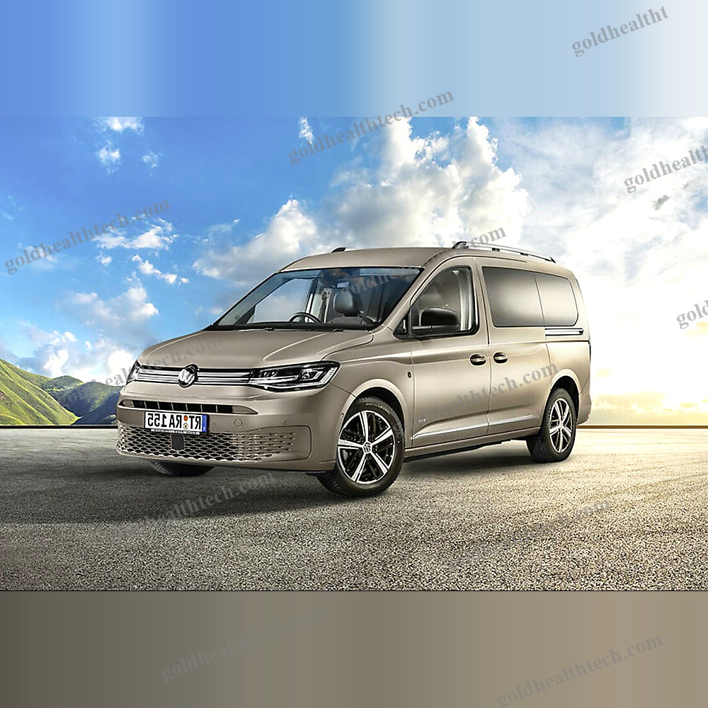Minivan Wheelchair Accessible Vehicle 1