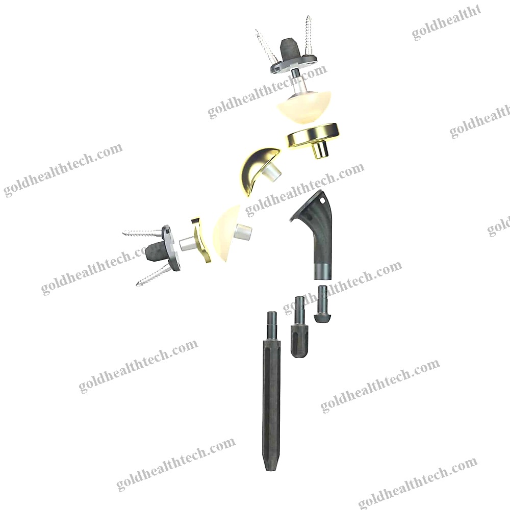 Modular Shoulder Prosthesis