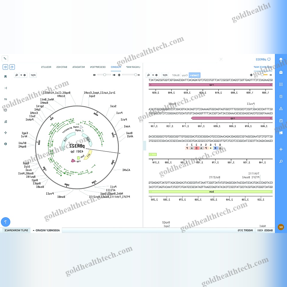 Molecular Biology Software