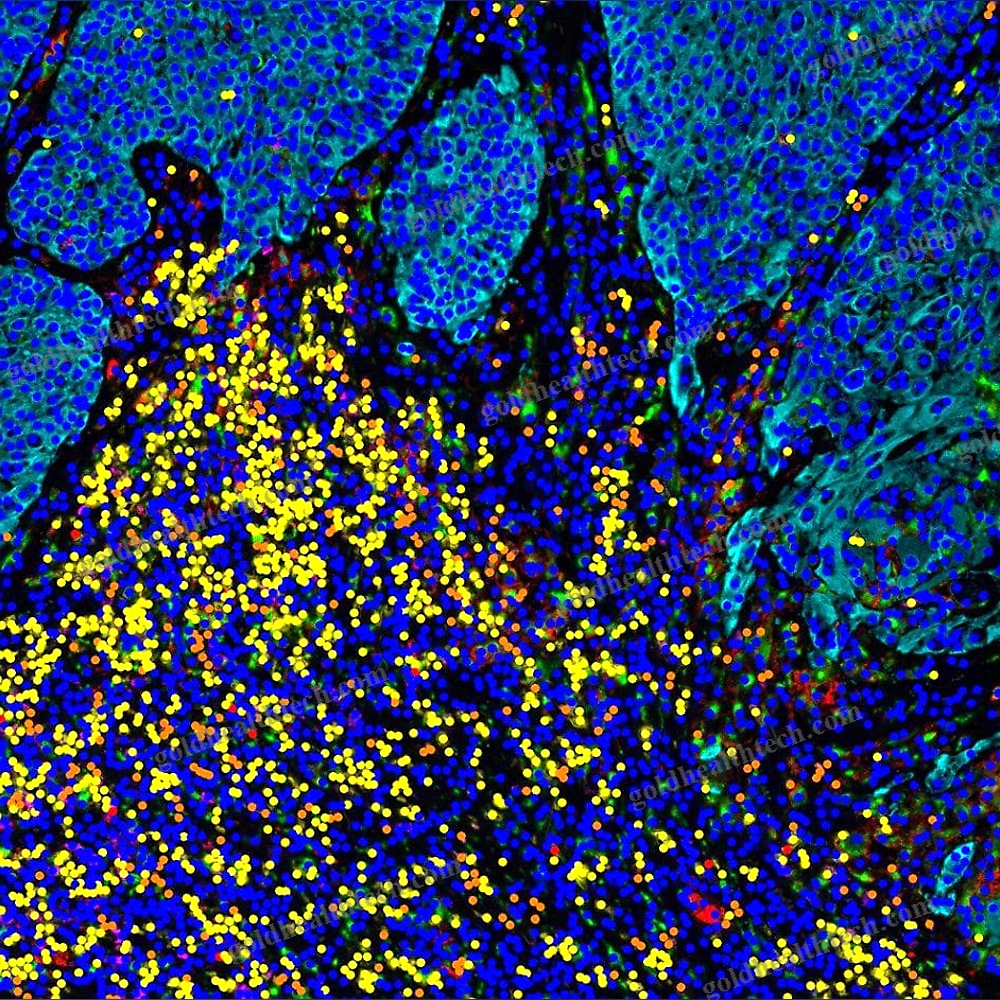 Molecular Biology Software