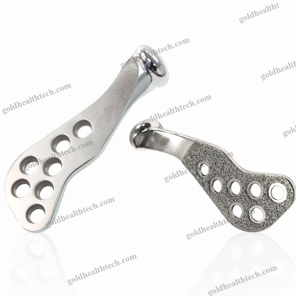 Non-Absorbable Mandibular Implant