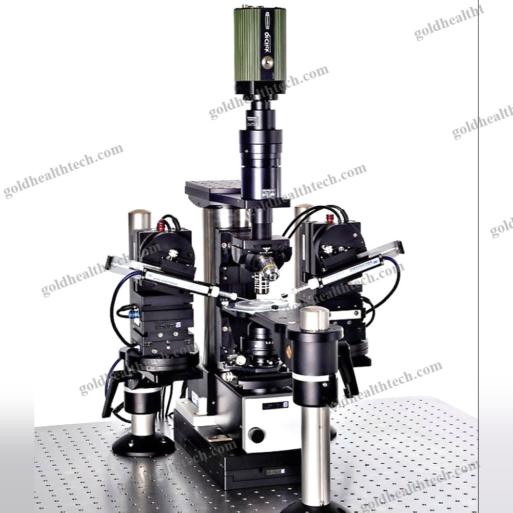 Optical Microscope 1