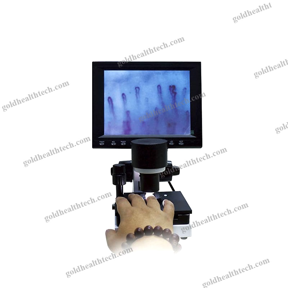 Optical Microscope