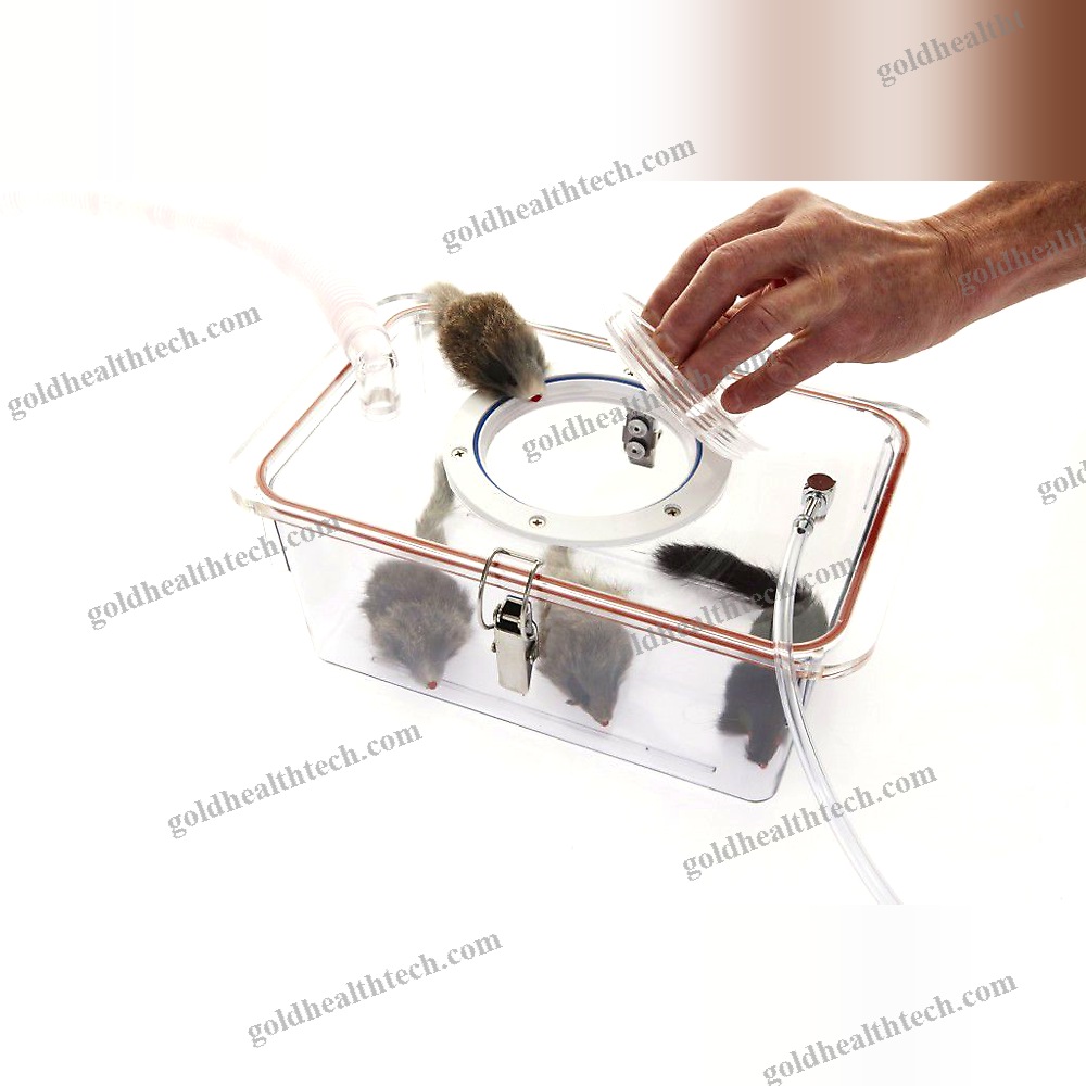 Patient Breathing Circuit Inhalation Chamber