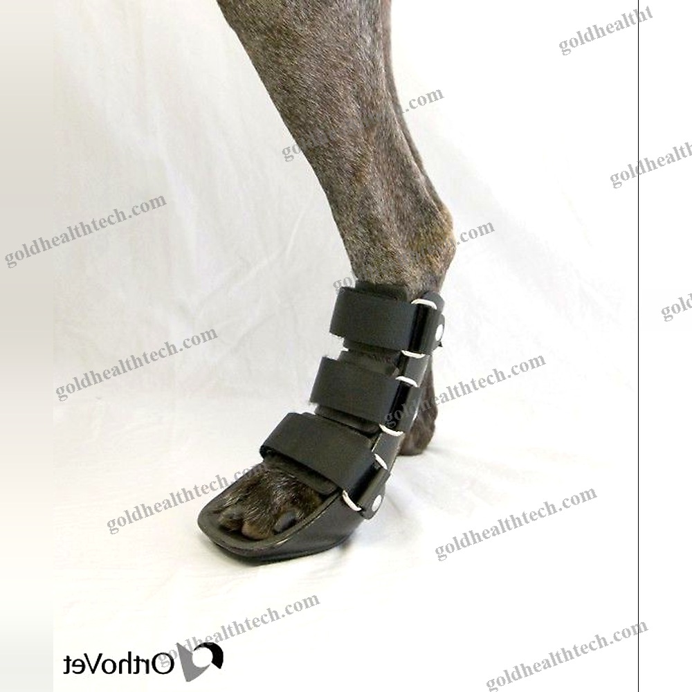Paw Veterinary Splint