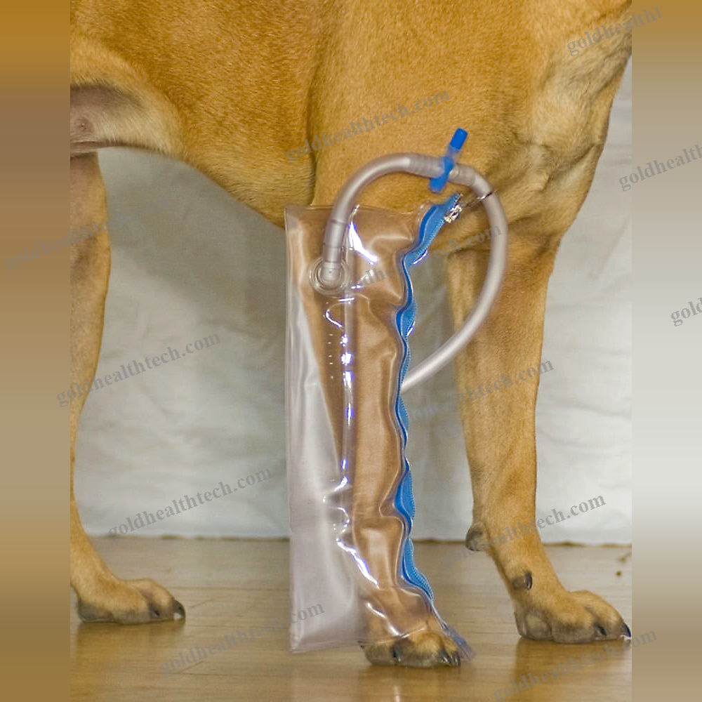 Paw Veterinary Splint
