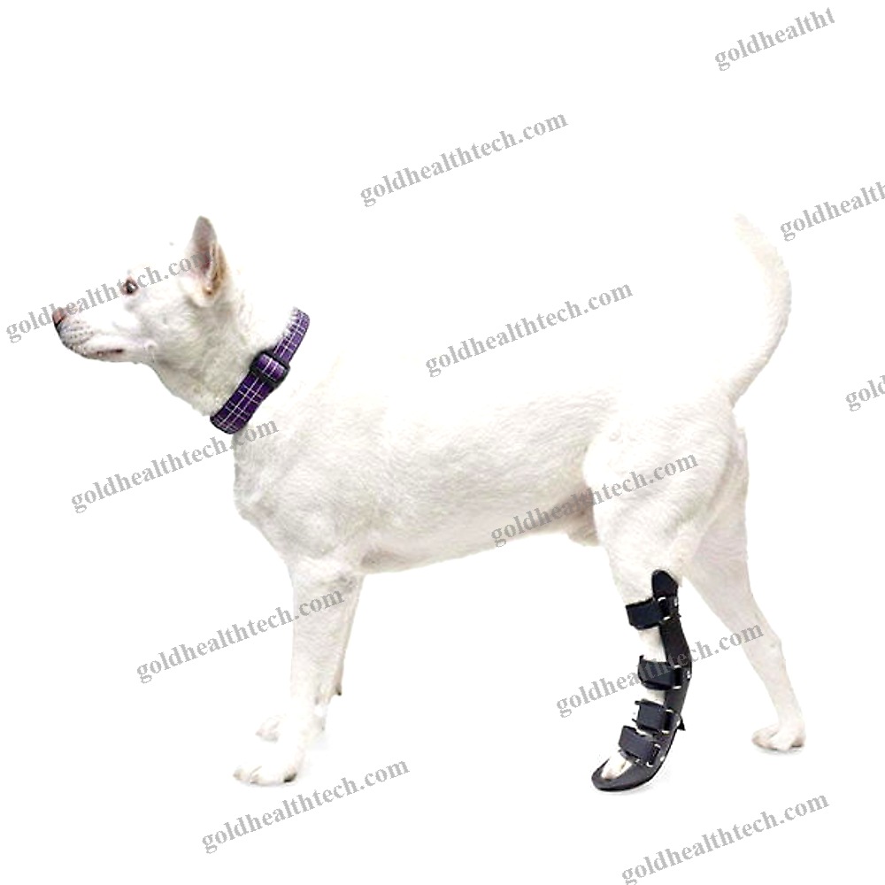 Paw Veterinary Splint