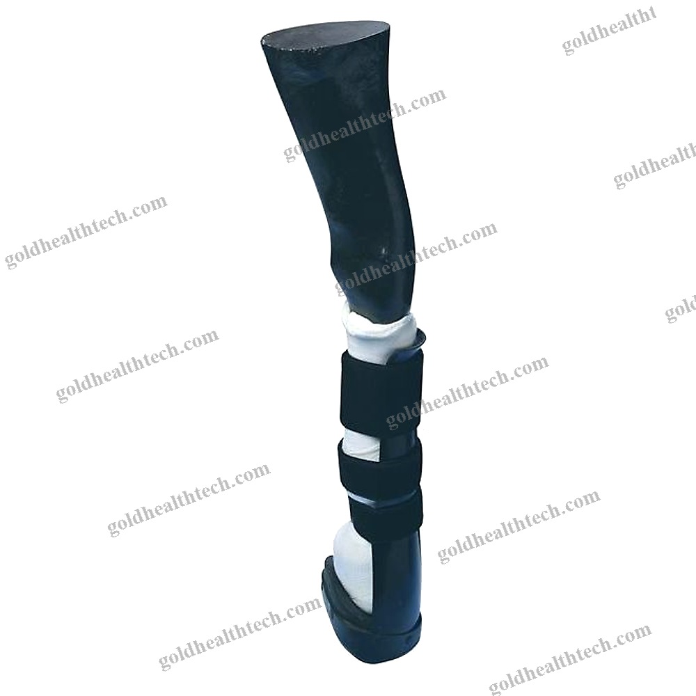 Paw Veterinary Splint