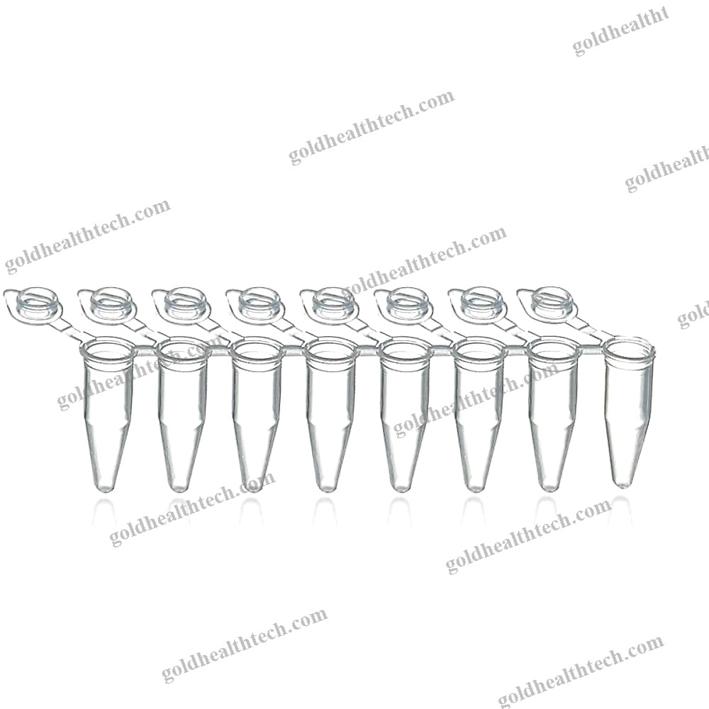Pcr Test Tube