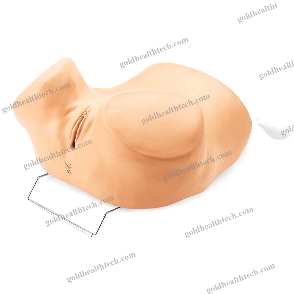 Pelvic Examination Simulator