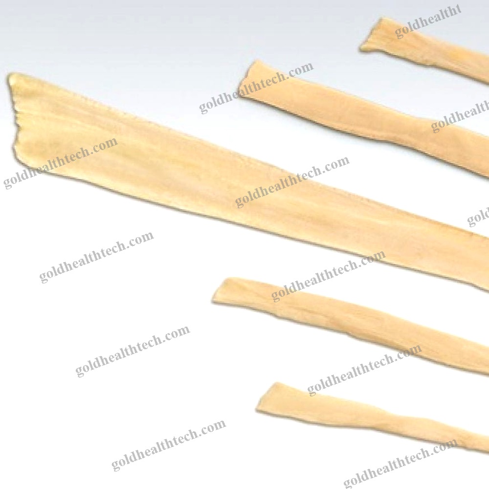 Peroneus Longus Tendon Ligament Prosthesis