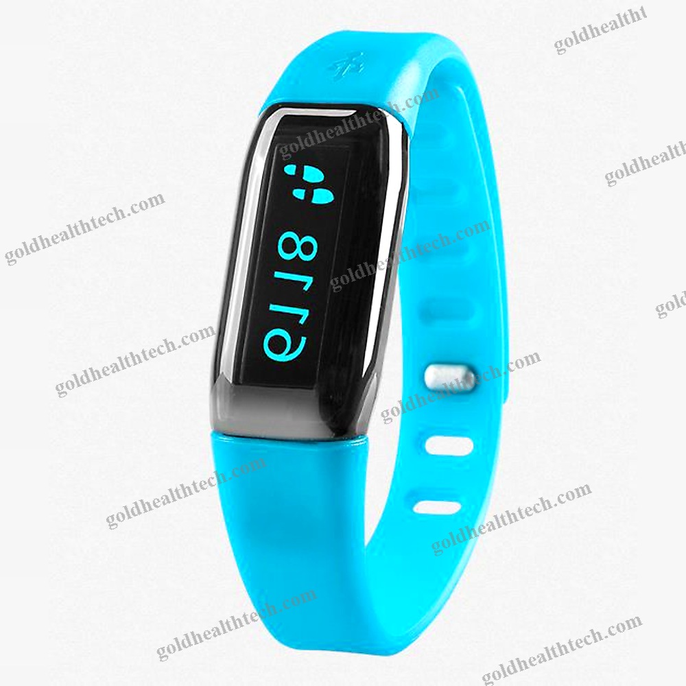 Physical Activity Wrist Monitor 1