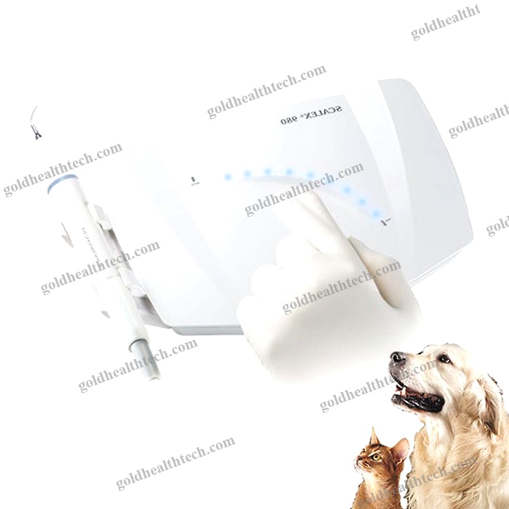 Piezoelectric Dental Scaler