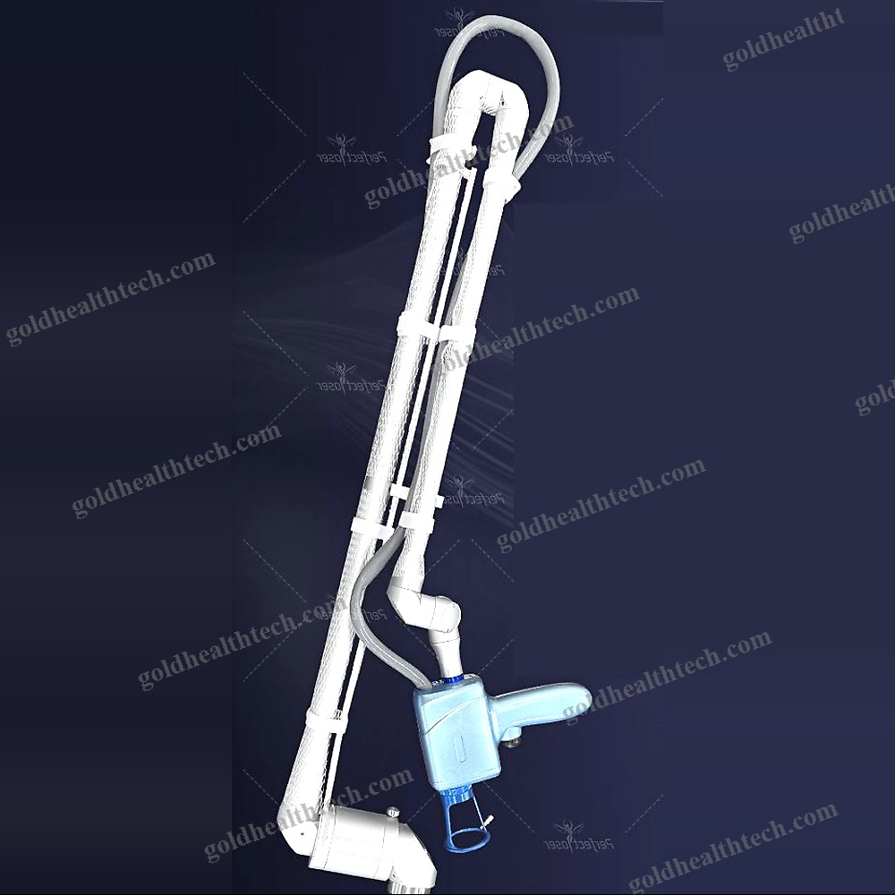 Pigmented Lesion Treatment Laser 1