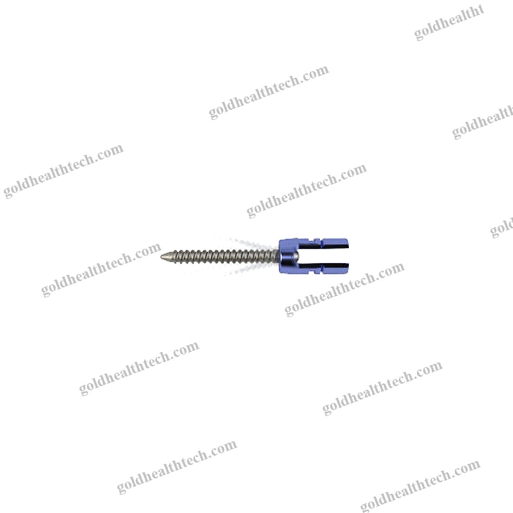 Polyaxial Pedicle Screw