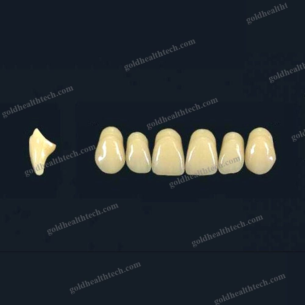 Polymer Acrylic Dental Prosthesis