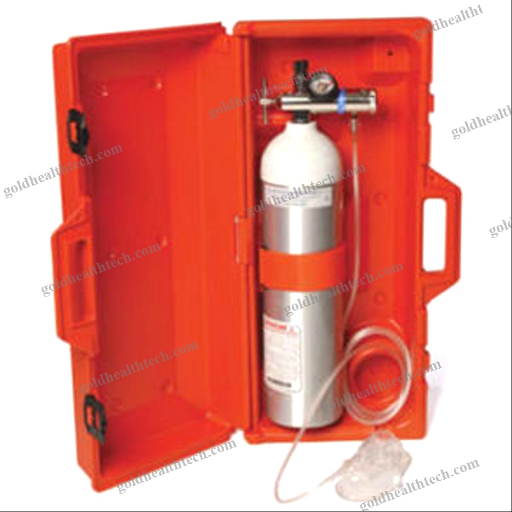 Portable Oxygen Therapy System 1