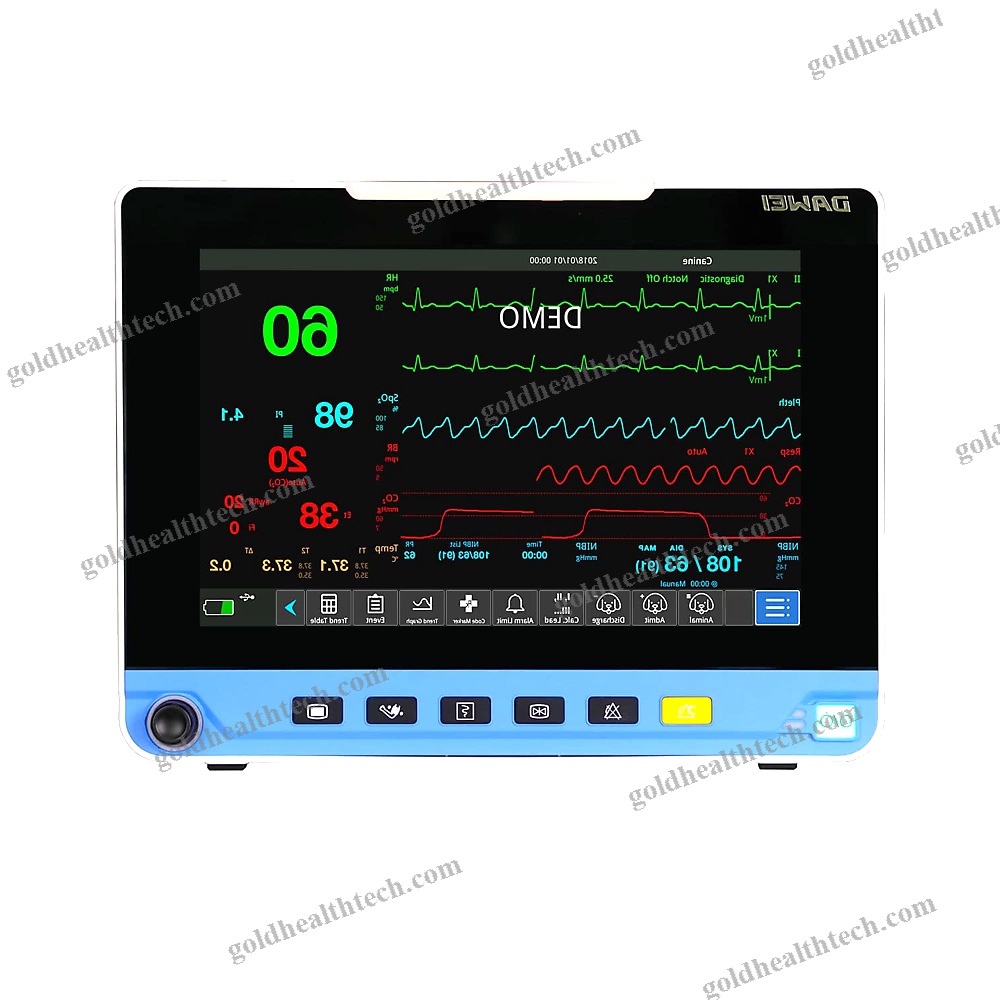 Portable Patient Monitor