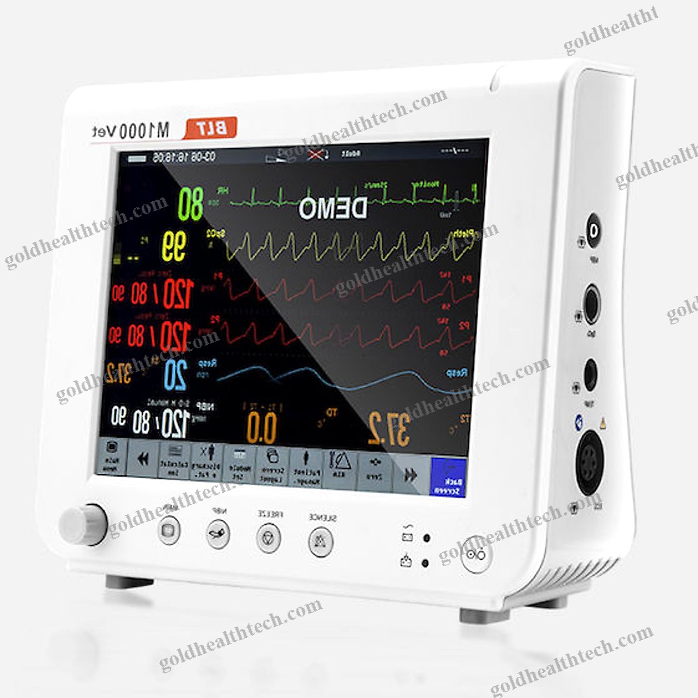 Portable Patient Monitor