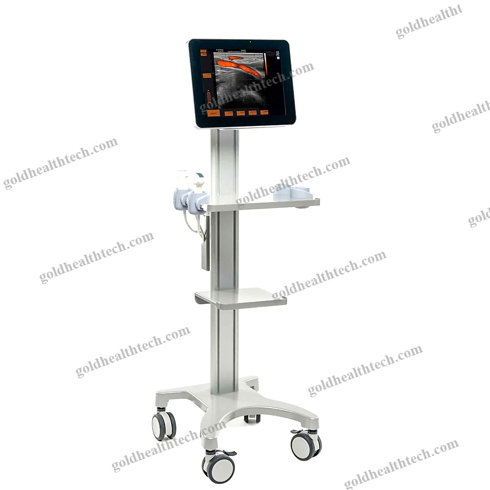 Portable Ultrasound System 1