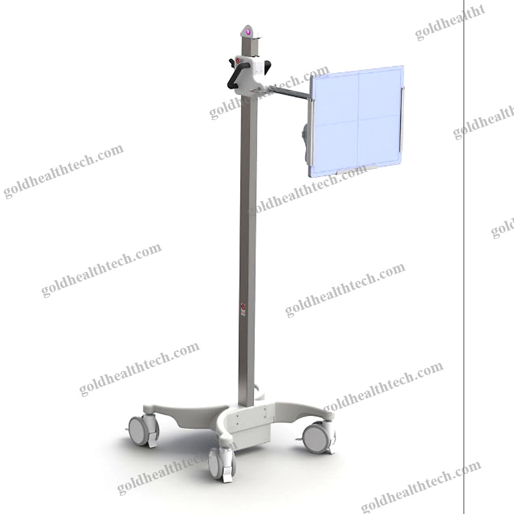 Potter-Bucky On Casters