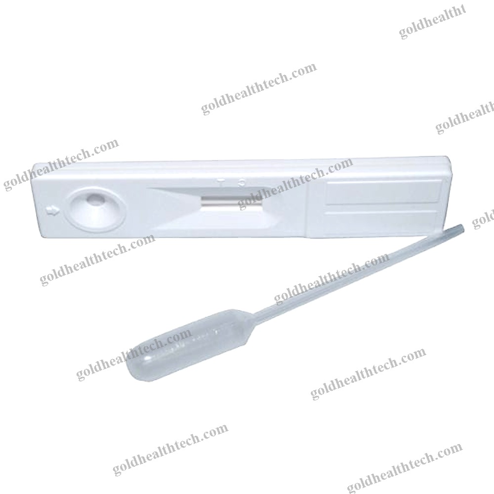 Pregnancy Test