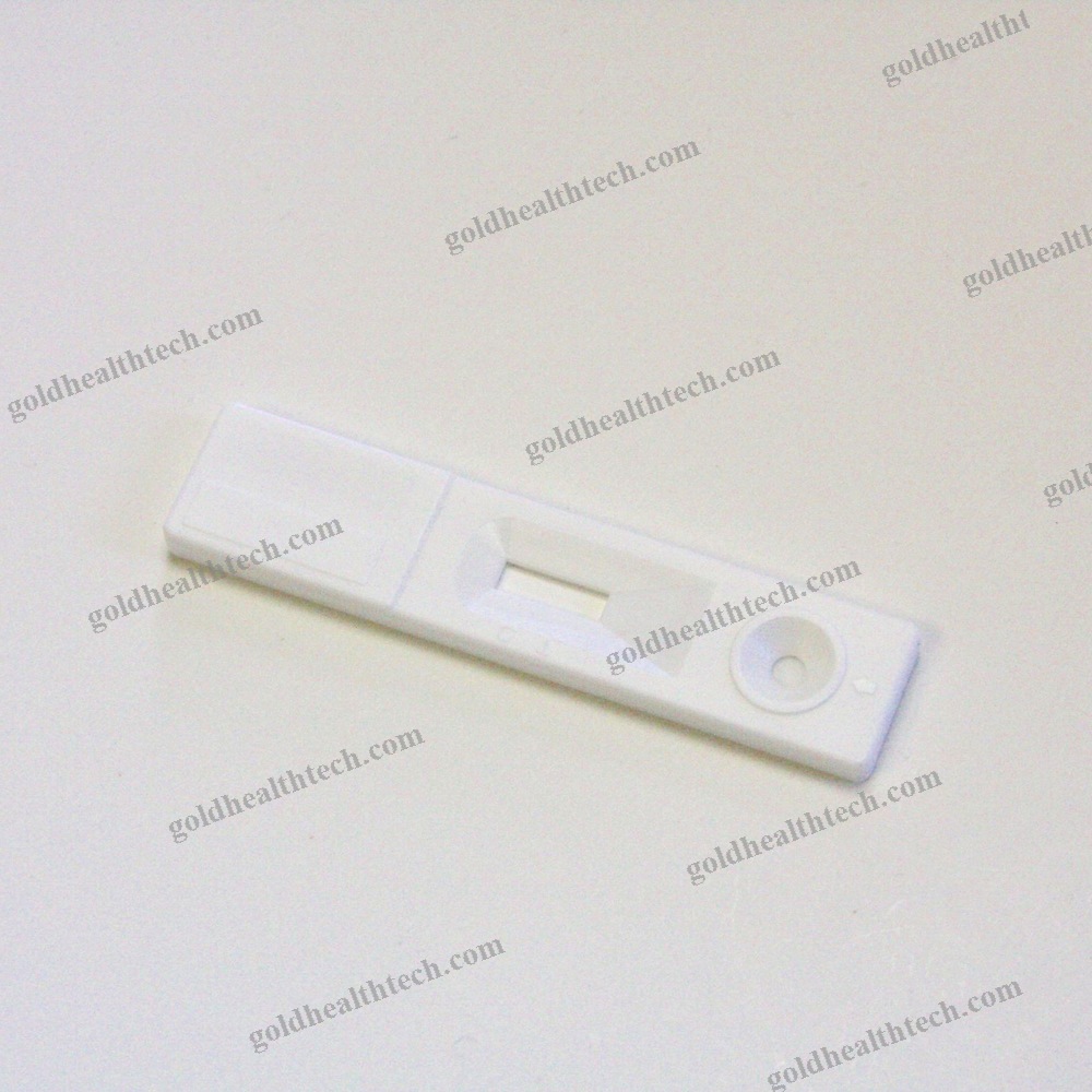 Pregnancy Test