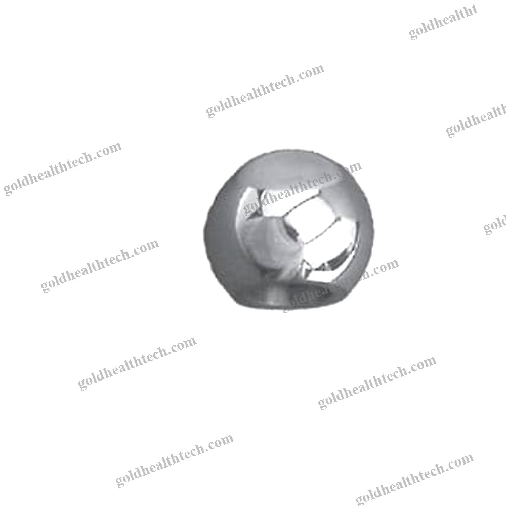 Primary Femoral Head Prosthesis