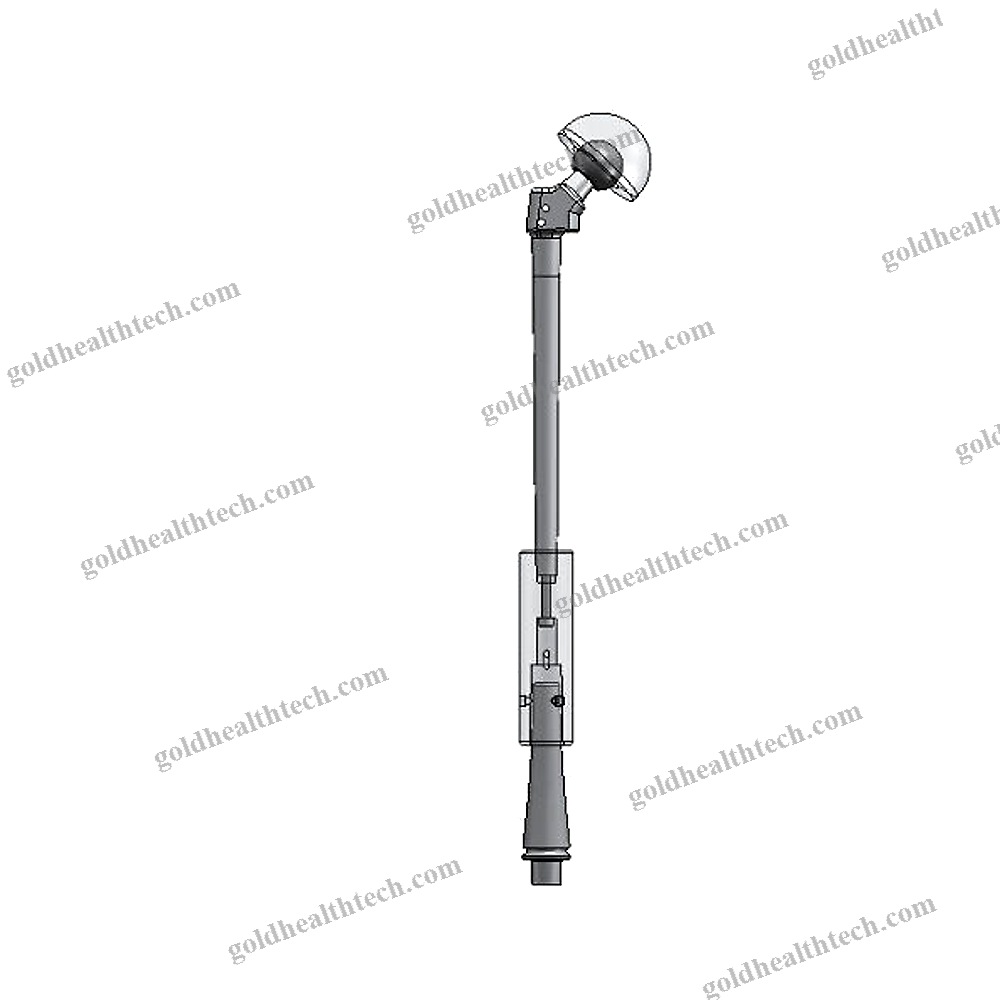 Primary Hip Prosthesis
