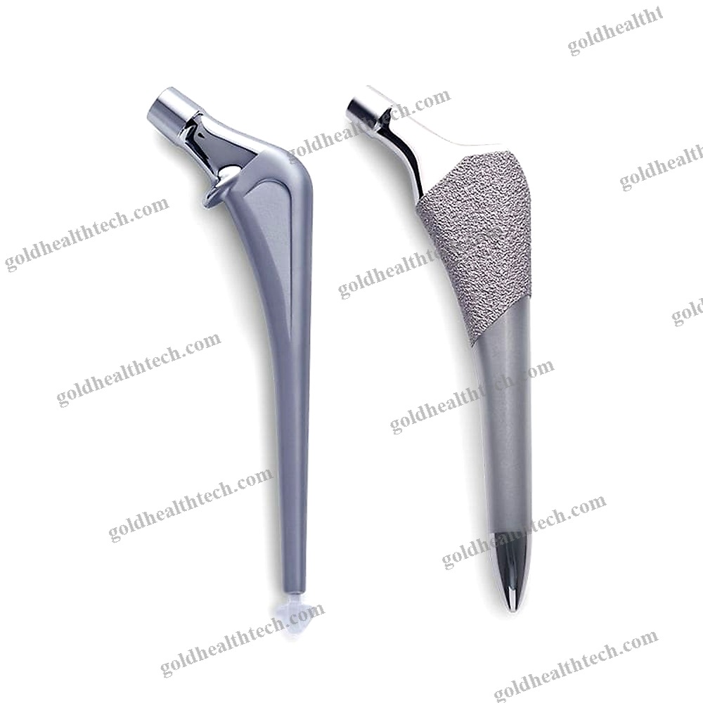 Primary Hip Prosthesis