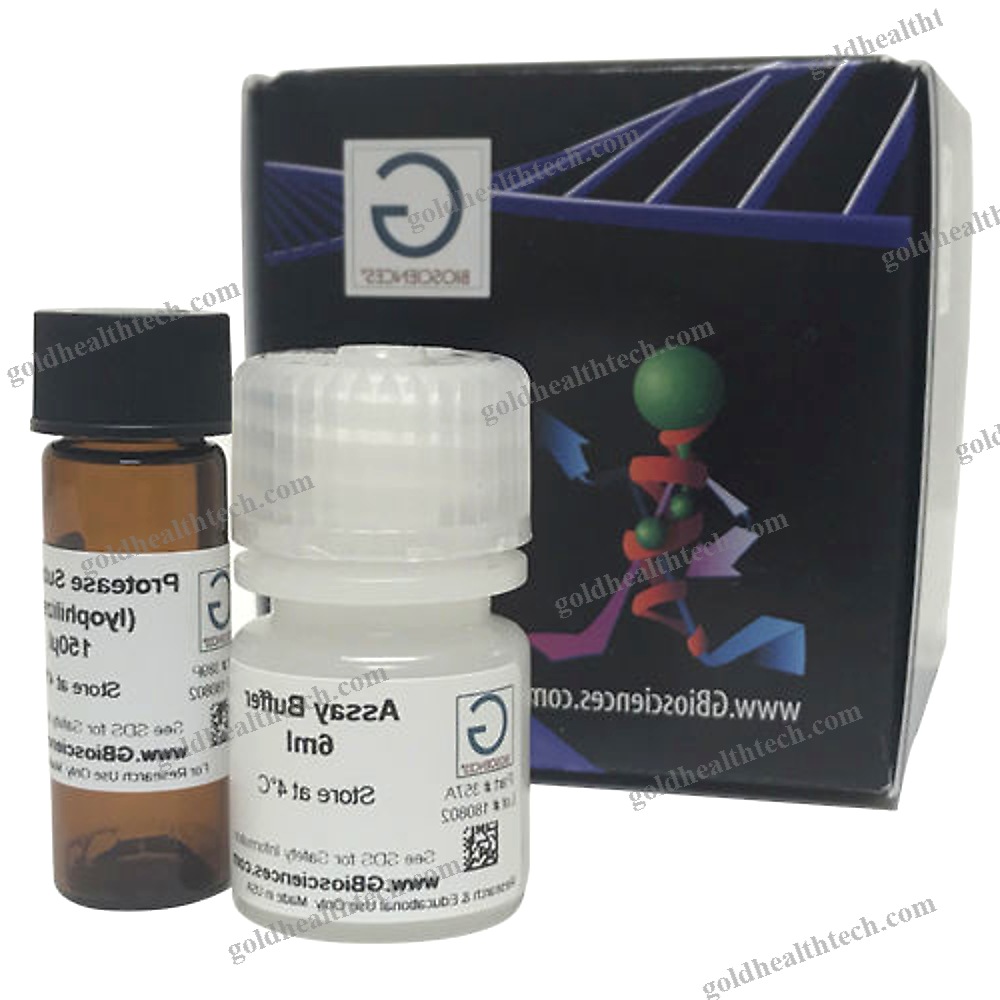 Protease Assay Kit