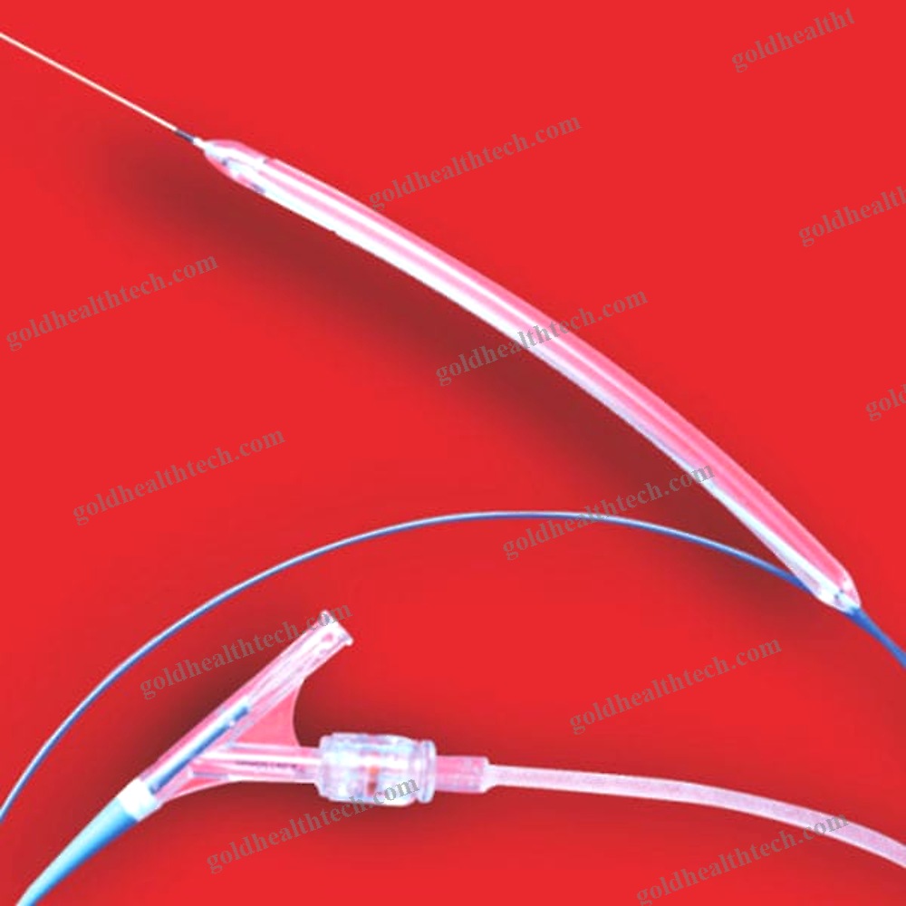 Pta Catheter 1