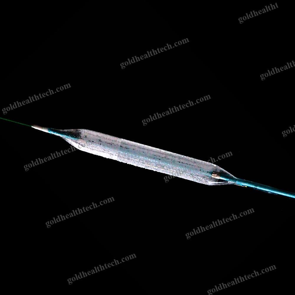 Ptca Catheter 1