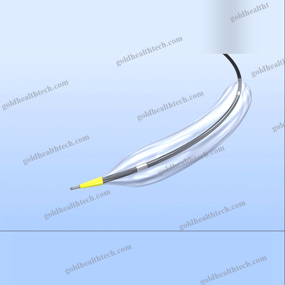 Ptca Catheter 1
