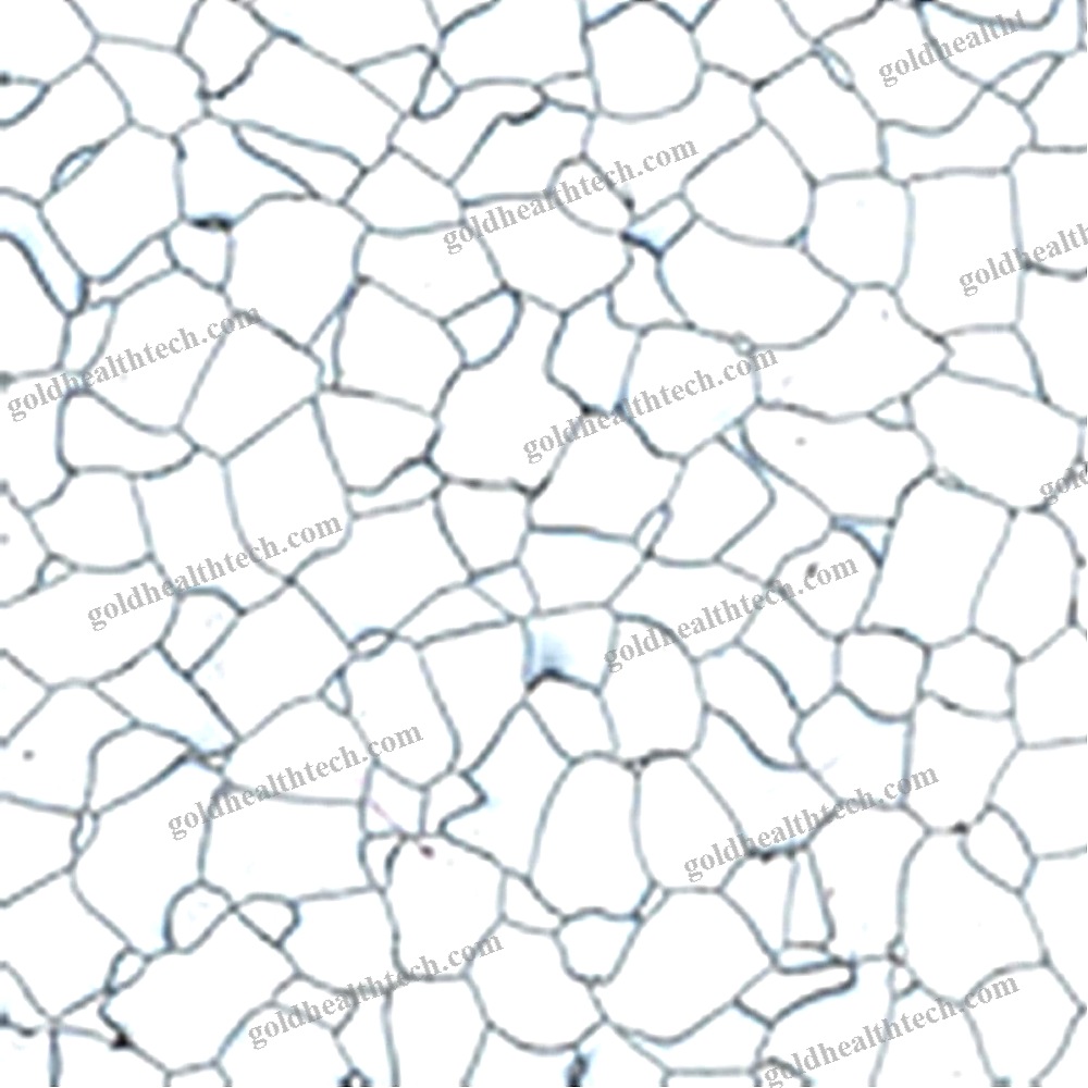 Pvc Flooring