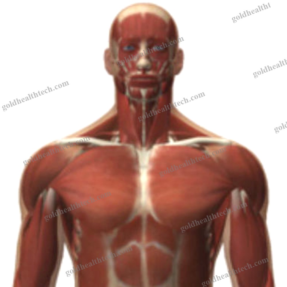 Radiography Simulation Module