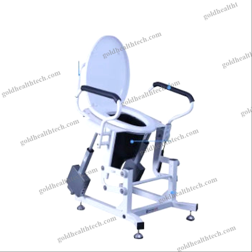 Raised Toilet Seat With Armrests
