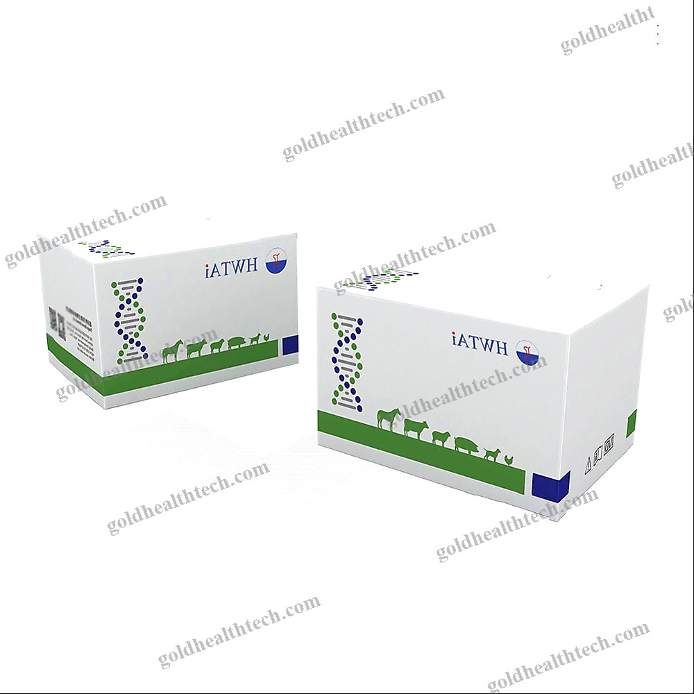 Rapid Infectious Disease Test 1