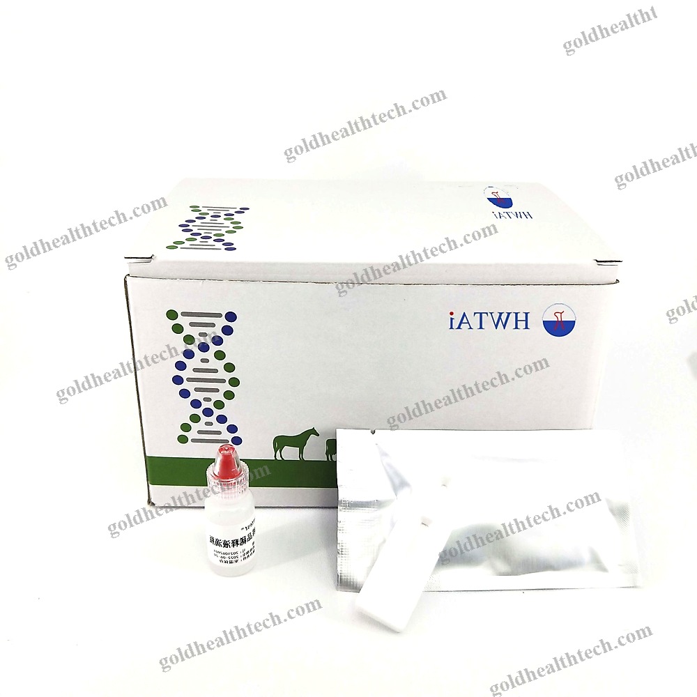 Rapid Infectious Disease Test