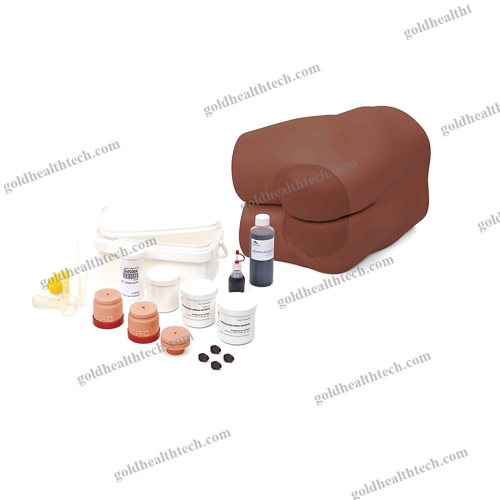 Rectal Touch Patient Simulator