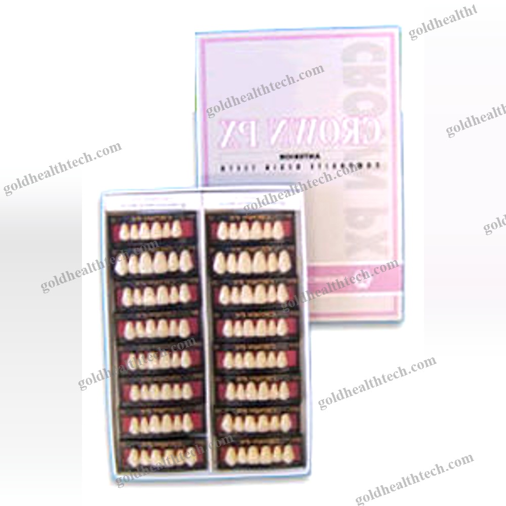 Resin Dental Prosthesis 1