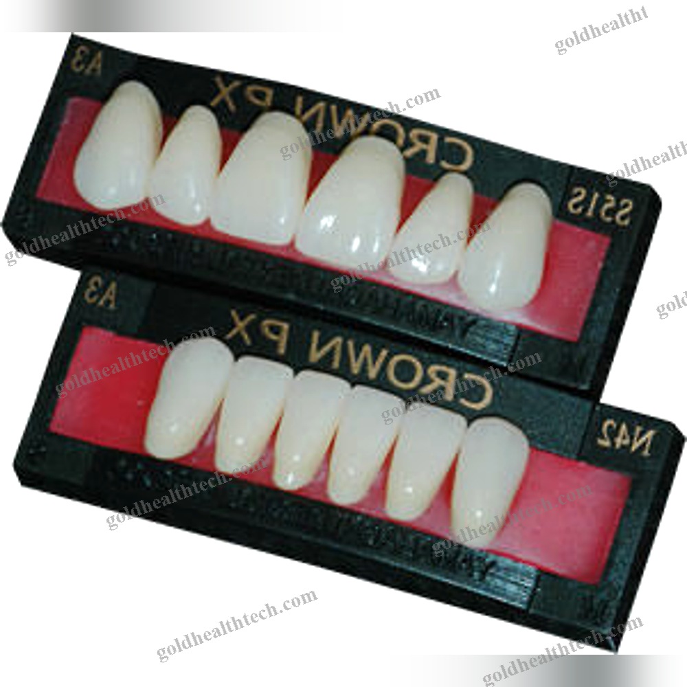 Resin Dental Prosthesis
