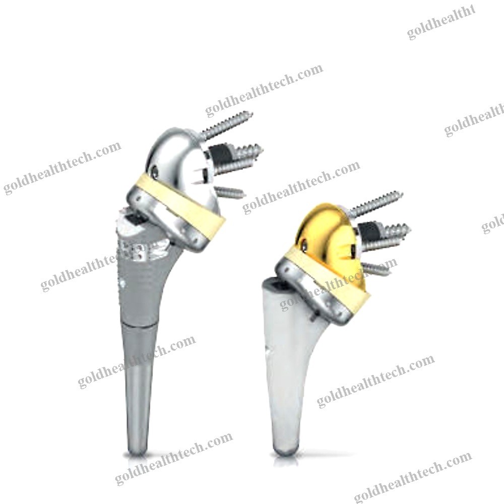 Reverse Shoulder Prosthesis