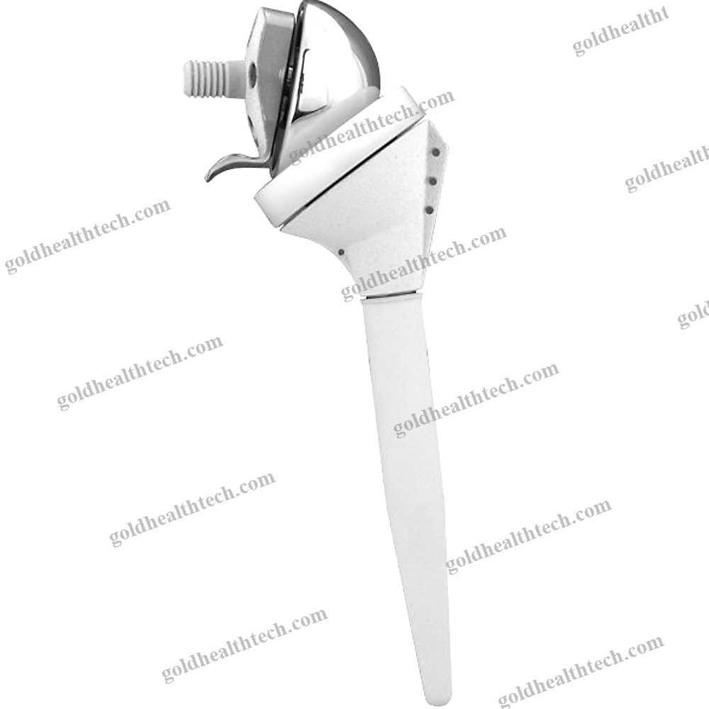 Reverse Shoulder Prosthesis