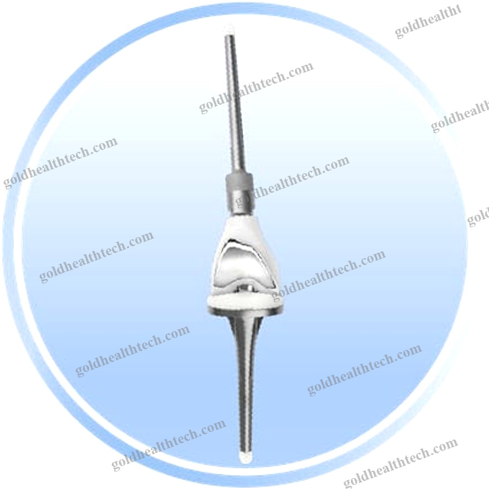 Revision Hip Prosthesis
